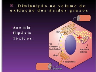 Diminuição no volume de oxidação dos ácidos graxos Anemia Hipóxia Tóxicos 