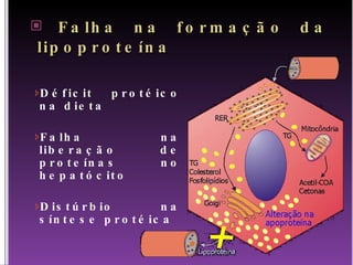 Falha na formação da lipoproteína Déficit protéico na dieta Falha na liberação de proteínas no hepatócito Distúrbio na síntese protéica 