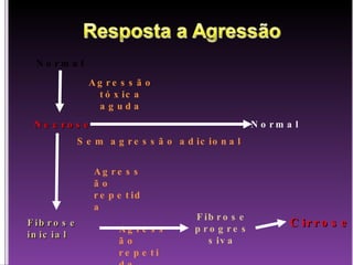 Necrose Normal Normal Agressão tóxica aguda Sem agressão adicional Agressão repetida Agressão repetida Fibrose inicial Fibrose progressiva Cirrose 