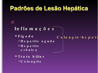 Inflamações Fígado Hepatite aguda Hepatite crônica Trato biliar Colangite Colangio-hepatite 