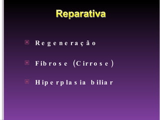 Regeneração Fibrose (Cirrose) Hiperplasia biliar 