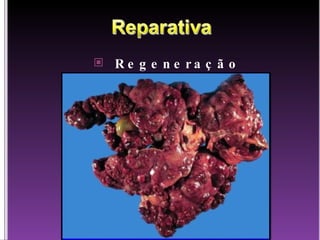 Regeneração 