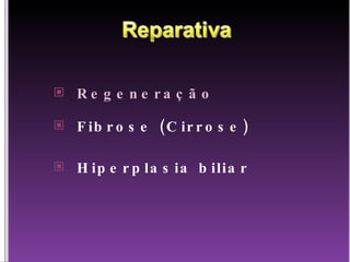Regeneração Fibrose (Cirrose) Hiperplasia biliar 