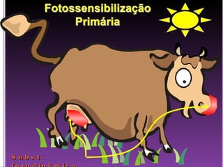 Subst. fotodinâmica 