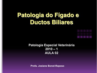 Patologia Especial Veterinária
           2010 – 1
          AULA 02


 Profa. Josiane Bonel-Raposo
 
