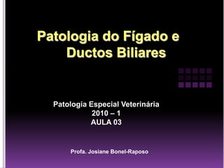 Patologia Especial Veterinária
           2010 – 1
          AULA 03


    Profa. Josiane Bonel-Raposo
 