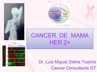 CANCER DE MAMA
    HER 2+


 Dr. Luis Miguel Zetina Toache
        Cancer Consultants GT
 