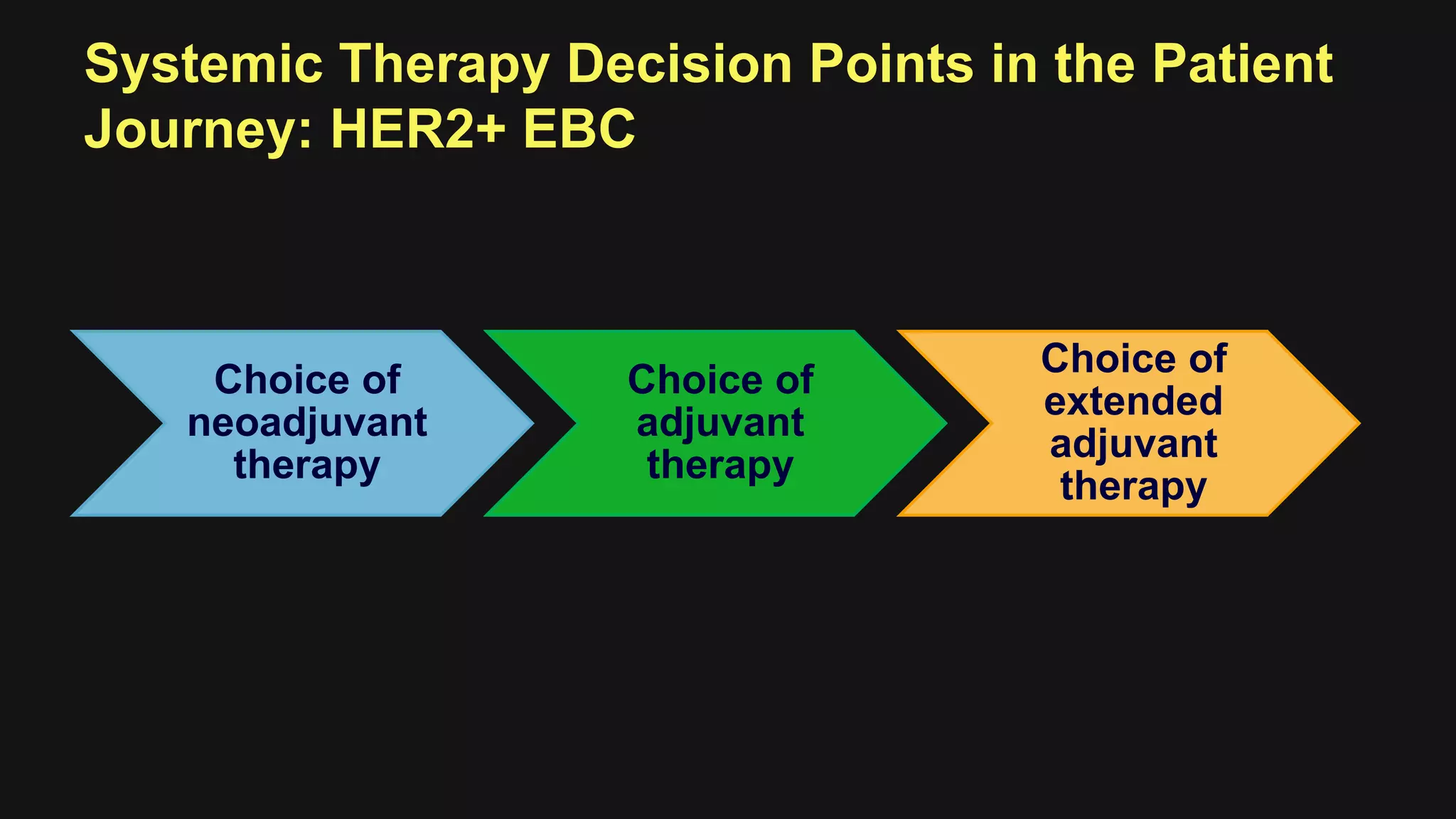 Systemic Therapy Decision Points in the Patient
Journey: HER2+ EBC
Choice of
neoadjuvant
therapy
Choice of
adjuvant
therapy
Choice of
extended
adjuvant
therapy
 