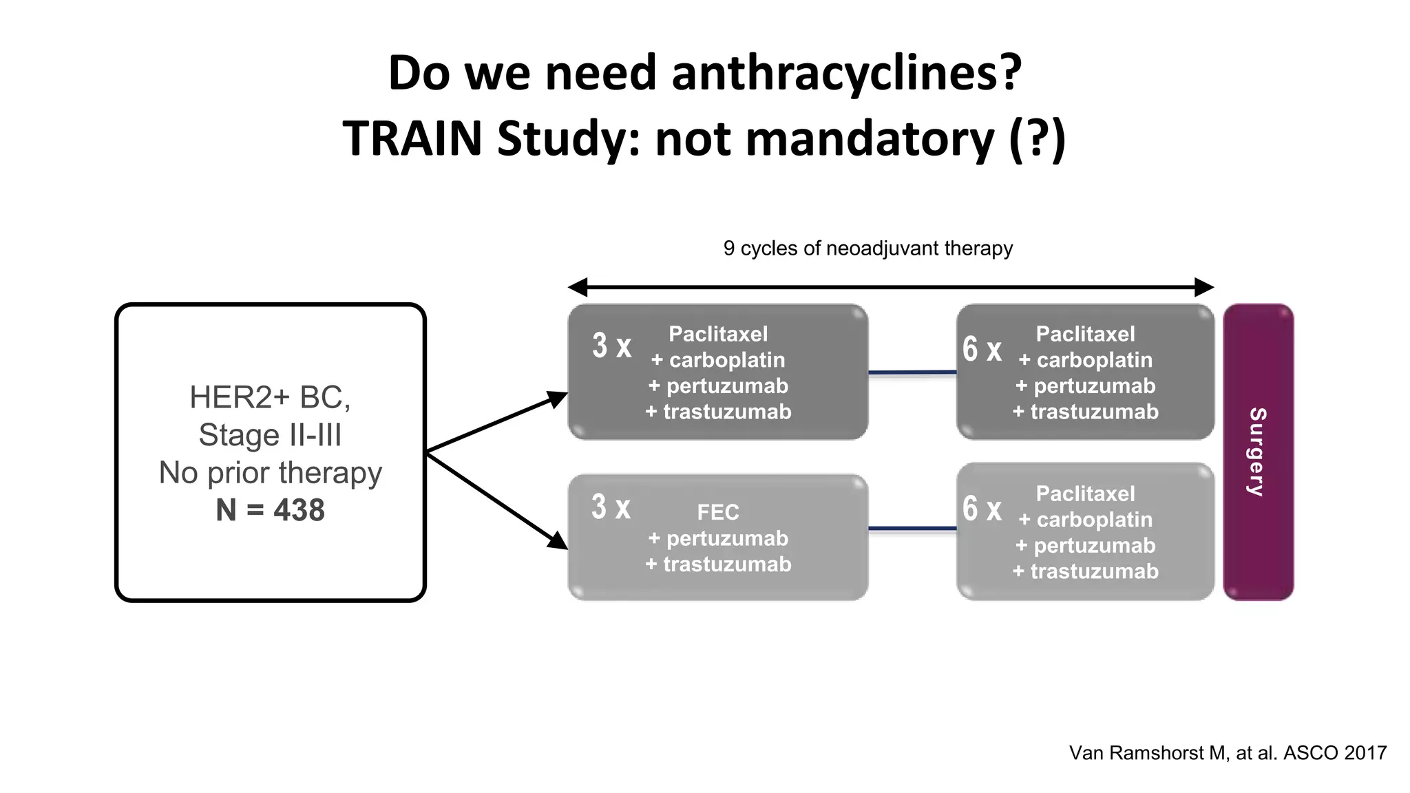 Do we need anthracyclines?
TRAIN Study: not mandatory (?)
HER2+ BC,
Stage II-III
No prior therapy
N = 438
Paclitaxel
+ carboplatin
+ pertuzumab
+ trastuzumab
FEC
+ pertuzumab
+ trastuzumab
Paclitaxel
+ carboplatin
+ pertuzumab
+ trastuzumab
Paclitaxel
+ carboplatin
+ pertuzumab
+ trastuzumab
Surgery
9 cycles of neoadjuvant therapy
3 x 6 x
3 x 6 x
Van Ramshorst M, at al. ASCO 2017
 