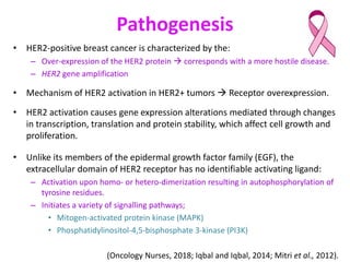 HER2+ signalling pathways
