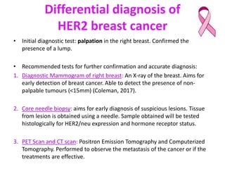 HER2+ signalling pathways
