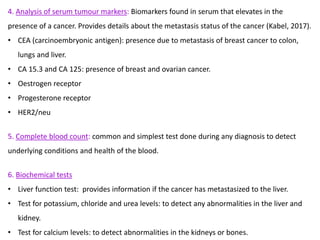 HER2+ signalling pathways