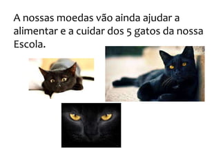 A nossas moedas vão ainda ajudar a
alimentar e a cuidar dos 5 gatos da nossa
Escola.
 