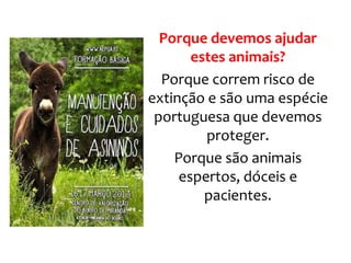 Porque devemos ajudar
estes animais?
Porque correm risco de
extinção e são uma espécie
portuguesa que devemos
proteger.
Porque são animais
espertos, dóceis e
pacientes.
 