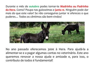 Durante o mês de outubro podes tornar-te Madrinha ou Padrinho
da Hera. Como? Poupa nas guloseimas e junta 1€. Ninguém pode dar
mais do que este valor! Se não conseguires juntar 1€ ofereces o que
puderes… Todos os cêntimos são bem-vindos!
No ano passado oferecemos 300€ à Hera. Para ajudá-la a
alimentar-se e a pagar algumas contas no veterinário. Este ano
queremos renovar a nossa ajuda e amizade e, para isso, o
contributo de todos é fundamental!
 