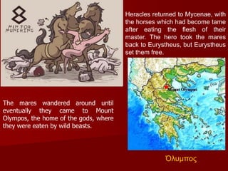 Heracles returned to Mycenae, with
the horses which had become tame
after eating the flesh of their
master. The hero took ...
