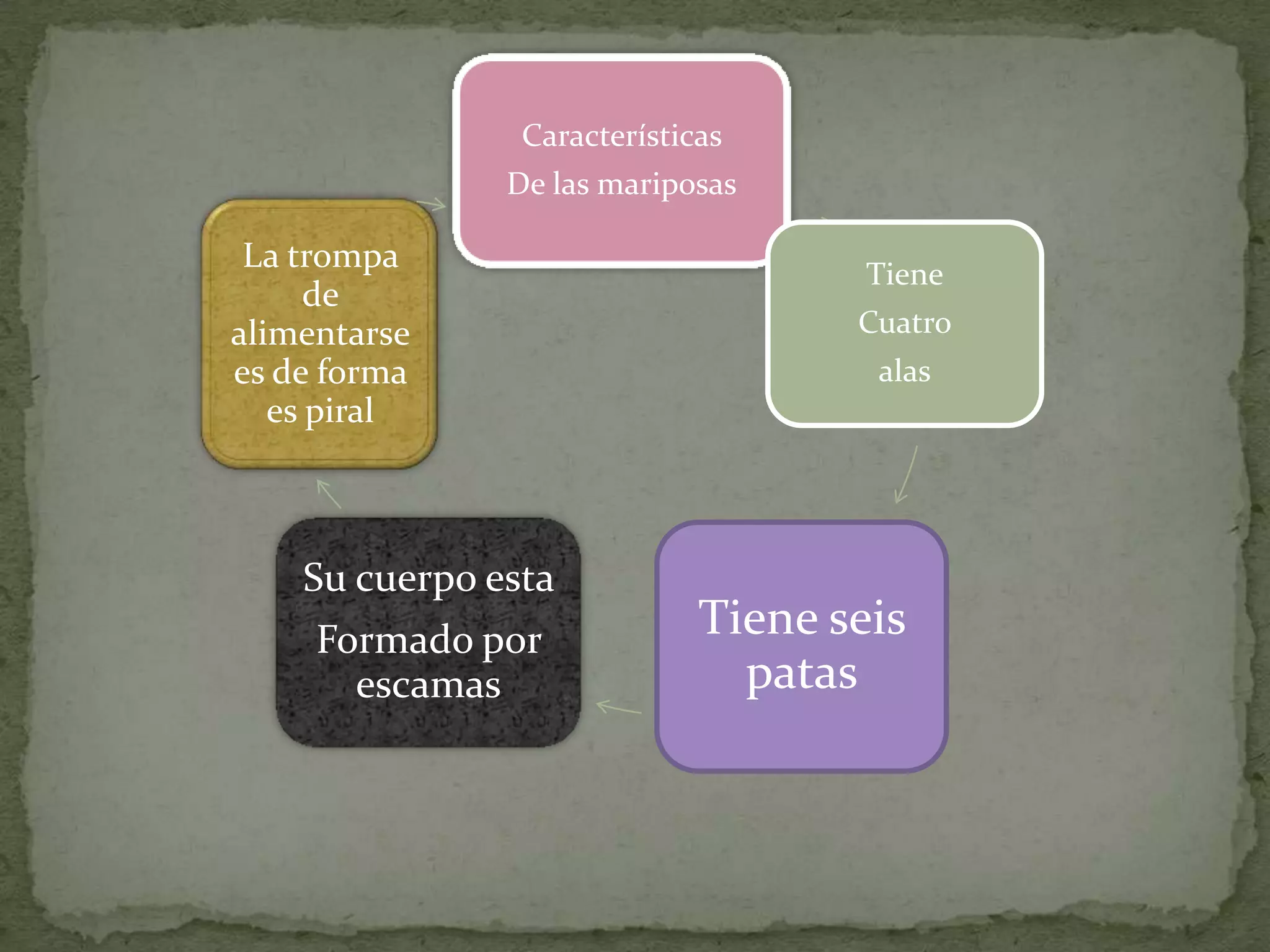 Características
De las mariposas
La trompa Tiene
de
alimentarse Cuatro
es de forma alas
es piral
Su cuerpo esta
Formado por Tiene seis
escamas patas