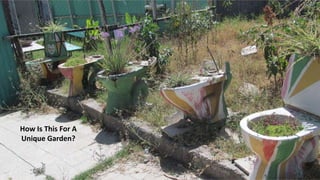 How Is This For A
Unique Garden?
 