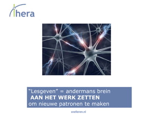 “Lesgeven” = andermans brein
 AAN HET WERK ZETTEN
om nieuwe patronen te maken
              snelleren.nl
 