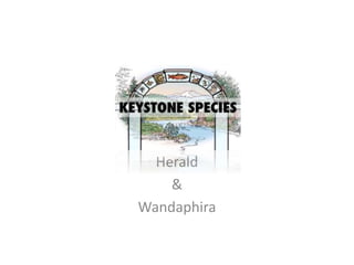 Herald
&
Wandaphira
 