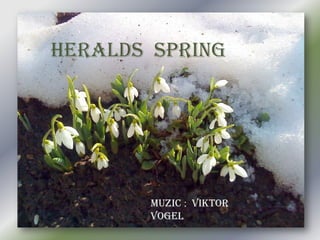 Heralds spring




       Muzic : Viktor
       Vogel
 