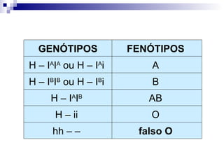falso O  hh – –  O  H – ii  AB  H – I A I B   B  H – I B I B  ou H – I B i  A  H – I A I A  ou H – I A i  FENÓTIPOS  GENÓTIPOS 