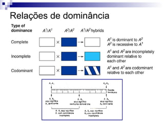 Relações de dominância 