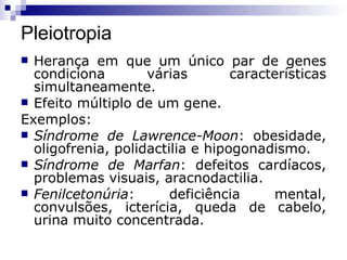 Pleiotropia Herança em que um único par de genes condiciona várias características simultaneamente. Efeito múltiplo de um gene. Exemplos: Síndrome   de   Lawrence-Moon : obesidade, oligofrenia, polidactilia e hipogonadismo. Síndrome   de   Marfan : defeitos cardíacos, problemas visuais, aracnodactilia. Fenilcetonúria : deficiência mental, convulsões, icterícia, queda de cabelo, urina muito concentrada. 