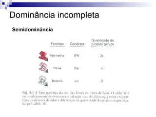 Dominância incompleta Semidominância 