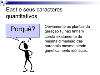 East e seus caracteres quantitativos Obviamente as plantas da geração F 5  não tinham corola exatamente da mesma dimensão das parentais mesmo sendo geneticamente idênticas. Porquê? 
