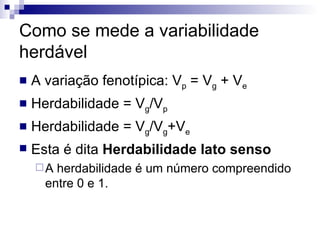 Como se mede a variabilidade herdável A variação fenotípica: V p  = V g  + V e Herdabilidade = V g /V p Herdabilidade = V g /V g +V e Esta é dita  Herdabilidade lato senso A herdabilidade é um número compreendido entre 0 e 1. 