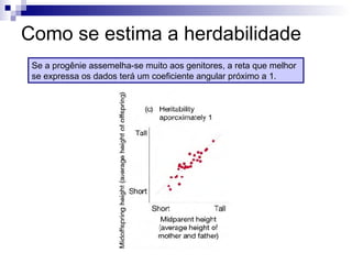 Como se estima a herdabilidade Se a progênie assemelha-se muito aos genitores, a reta que melhor se expressa os dados terá um coeficiente angular próximo a 1. 