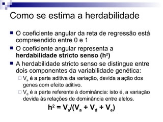 Como se estima a herdabilidade O coeficiente angular da reta de regressão está compreendido entre 0 e 1 O coeficiente angular representa a  herdabilidade stricto senso (h 2 ) A herdabilidade stricto senso se distingue entre dois componentes da variabilidade genética: V a  é a parte aditiva da variação, devida a ação dos genes com efeito aditivo. V d  é a parte referente à dominância: isto é, a variação devida às relações de dominância entre alelos. h 2  = V a /(V a  + V d  + V e ) 