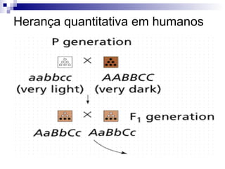 Herança quantitativa em humanos 