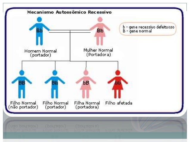 Herança autossômica recessiva (1)