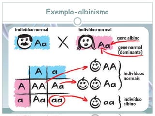 Exemplo-albinismo 
 