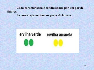 Cada característica é condicionada por um par de fatores.  As cores representam os pares de fatores. 