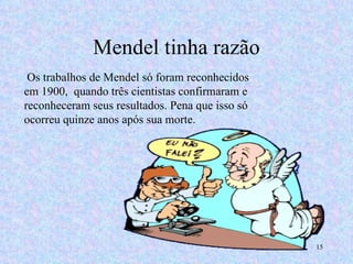 Mendel tinha razão Os trabalhos de Mendel só foram reconhecidos em 1900,  quando três cientistas confirmaram e reconheceram seus resultados. Pena que isso só ocorreu quinze anos após sua morte.  