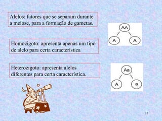 Alelos: fatores que se separam durante a meiose, para a formação de gametas. Homozigoto: apresenta apenas um tipo de alelo para certa característica Heterozigoto: apresenta alelos diferentes para certa característica. 
