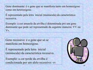 Gene dominante: é o gene que se manifesta tanto em homozigose como em heterozigose. É representado pela letra  inicial (maiúscula) da característica recessiva. Exemplo: a cor amarela da ervilha é determinada pro um gene dominante que pode ser representado da seguinte maneira: VV ou Vv. Gene recessivo: é o gene que só se manifesta em homozigose.  É representado pela letra  inicial (minúscula) da característica recessiva. Exemplo: a cor  v erde da ervilha é condicionada por um alelo recessivo: vv  