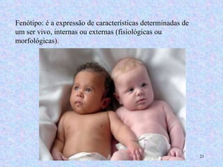 Fenótipo: é a expressão de características determinadas de um ser vivo, internas ou externas (fisiológicas ou morfológicas). 