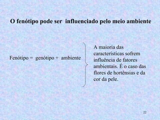 O fenótipo pode ser  influenciado pelo meio ambiente Fenótipo =  genótipo +  ambiente A maioria das características sofrem influência de fatores ambientais. É o caso das flores de hortênsias e da cor da pele. 