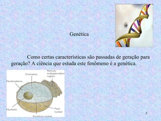 Genética  Como certas características são passadas de geração para geração? A ciência que estuda este fenômeno é a genética.  