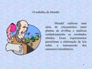 O trabalho de Mendel Mendel realizou uma séria de cruzamentos entre plantas de ervilhas e analisou cuidadosamente os resultados obtidos. Esses experimentos permitiram a elaboração de leis sobre a transmissão dos caracteres hereditários. 