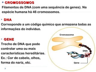  GENEGENE
Trecho de DNA que pode
controlar uma ou mais
características hereditárias.
Ex.: Cor de cabelo, olhos,
forma do nariz, etc.
 DNADNA
Corresponde a um código químico que armazena todas as
informações do indivíduo.
 CROMOSSOMOSCROMOSSOMOS
Filamentos de DNA (com uma sequência de genes). Na
espécie humana há 46 cromossomos.
 