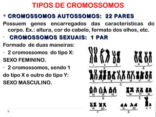  CROMOSSOMOS AUTOSSOMOS: 22 PARESCROMOSSOMOS AUTOSSOMOS: 22 PARES
Possuem genes encarregados das características do
corpo. Ex.: altura, cor do cabelo, formato dos olhos, etc.
• CROMOSSOMOS SEXUAIS: 1 PARCROMOSSOMOS SEXUAIS: 1 PAR
Formado de duas maneiras:
- 2 cromossomos do tipo X:
SEXO FEMININO.
- 2 cromossomos, sendo 1
do tipo X e outro do tipo Y:
SEXO MASCULINO.
TIPOS DE CROMOSSOMOS
 
