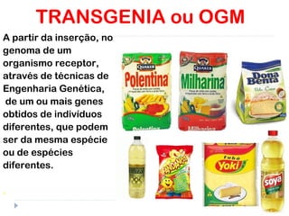 TRANSGENIA ou OGM
A partir da inserção, no
genoma de um
organismo receptor,
através de técnicas de
Engenharia Genética,
de um ou mais genes
obtidos de indivíduos
diferentes, que podem
ser da mesma espécie
ou de espécies
diferentes.
.
 
