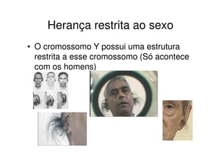 Herança restrita ao sexo
• O cromossomo Y possui uma estrutura
  restrita a esse cromossomo (Só acontece
  com os homens)
 