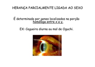 HERANÇA PARCIALMENTE LIGADA AO SEXO


É determinada por genes localizados na porção
            homóloga entre x e y.

    EX: Cegueira diurna ou mal de Oguchi.
 