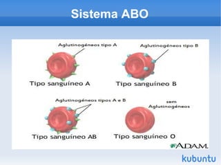 Sistema ABO 